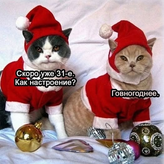 К нам мчится(