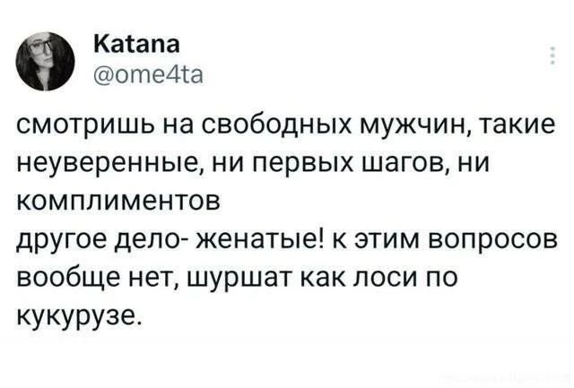 No questions - Screenshot, X (Twitter), Humor, Picture with text, Hardened, Women, Men and women, Married, Uncertainty