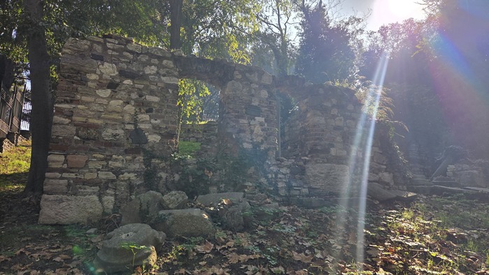      -     ,        ,   , 