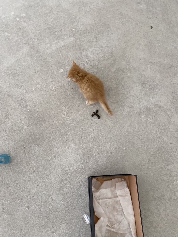 Держите эстетик фоточку✨✨