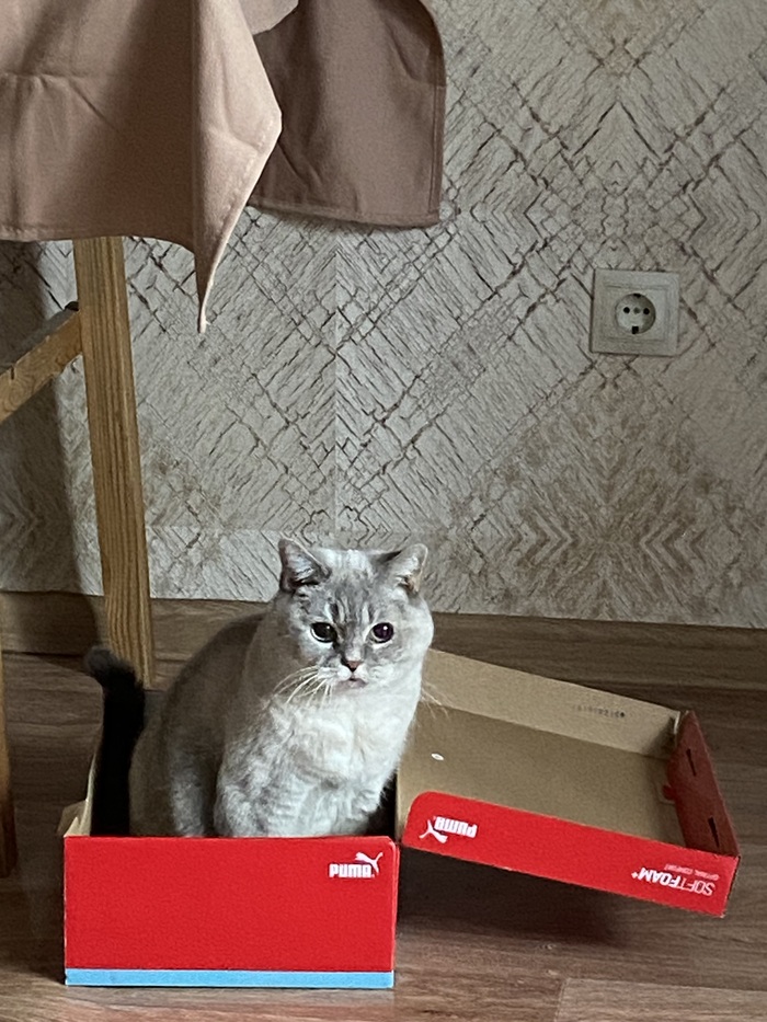 Василиса Дарьевна, собственной персоной