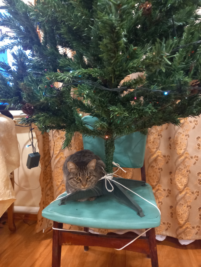 Ответ на пост «Главная ёлочная игрушка»