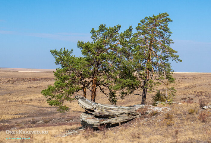 «Парусник»