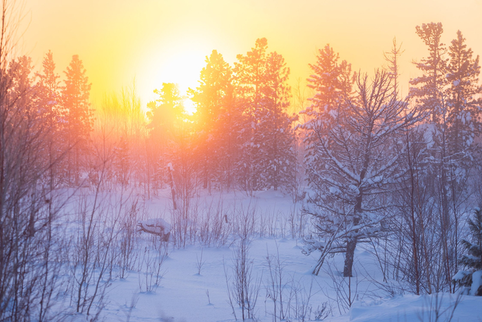 Фото: Ева Кострома <a href="https://pikabu.ru/story/moroz_i_solntse__den_chudesnyiy_13480089?u=https%3A%2F%2Frtraveler.ru%2Fphoto%2F1479931%2F%3Fnew_photos%3D1&t=%D0%BE%D1%82%D1%81%D1%8E%D0%B4%D0%B0&h=1fd5e0446e722b0a2e3756989b0af73253c2bfb7" title="https://rtraveler.ru/photo/1479931/?new_photos=1" target="_blank" rel="nofollow noopener">отсюда</a>