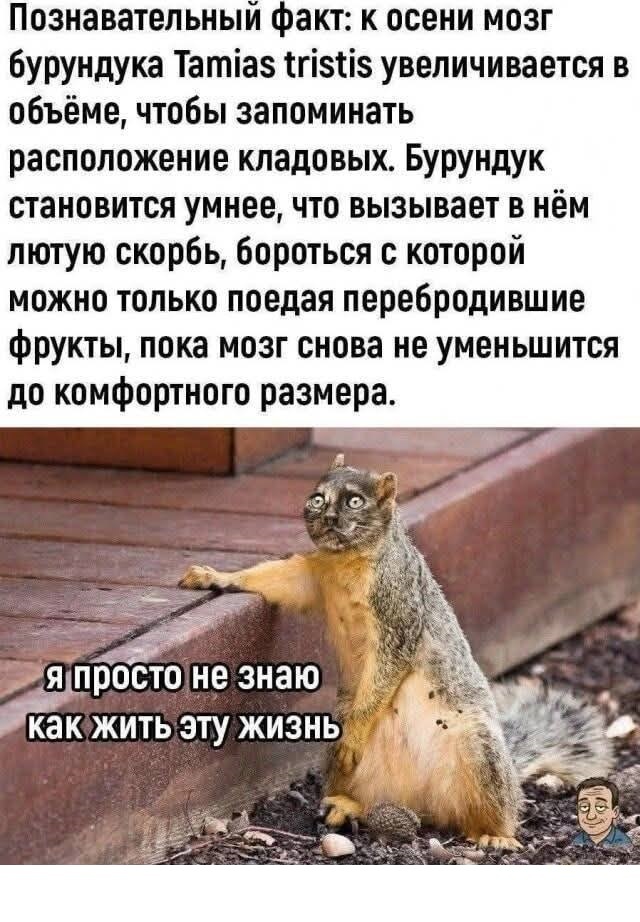 Горе от ума