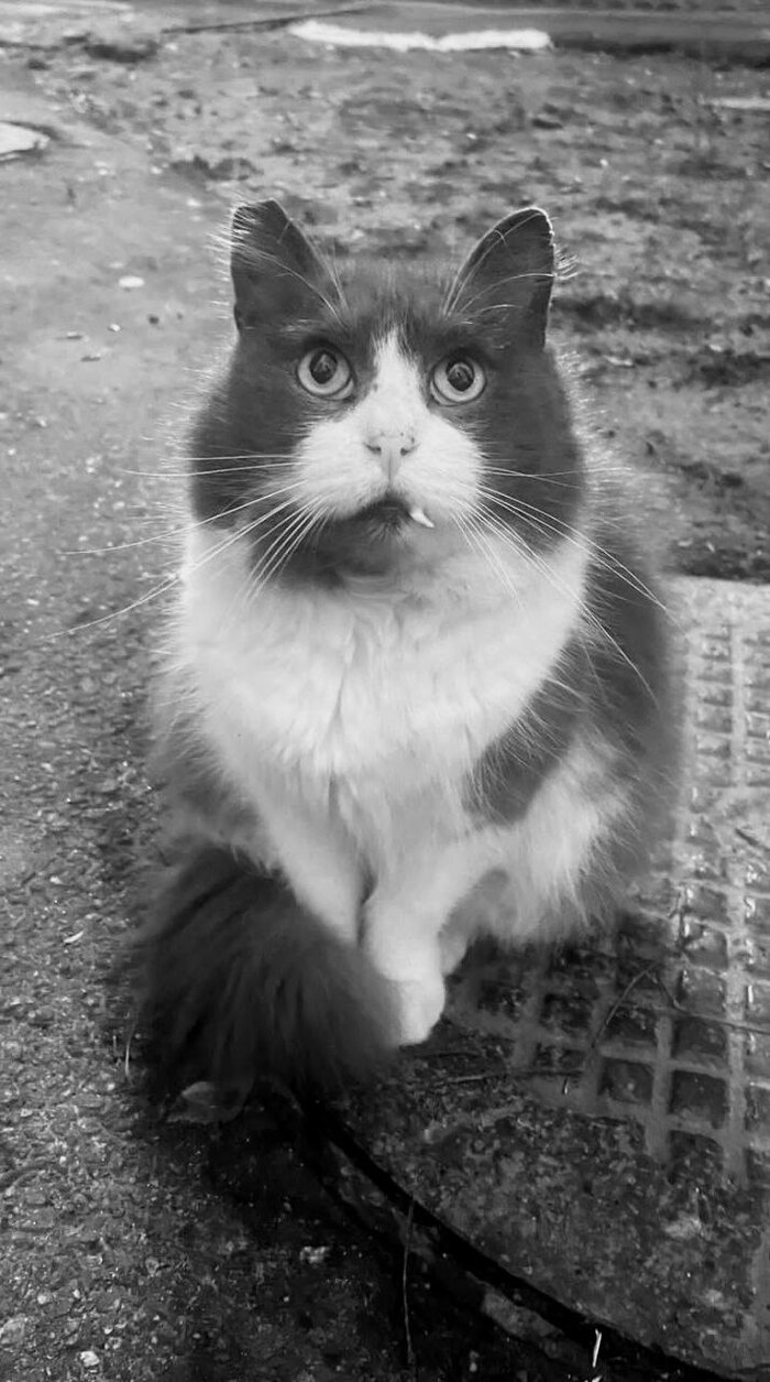   .   ,     .  , ,     -   )))