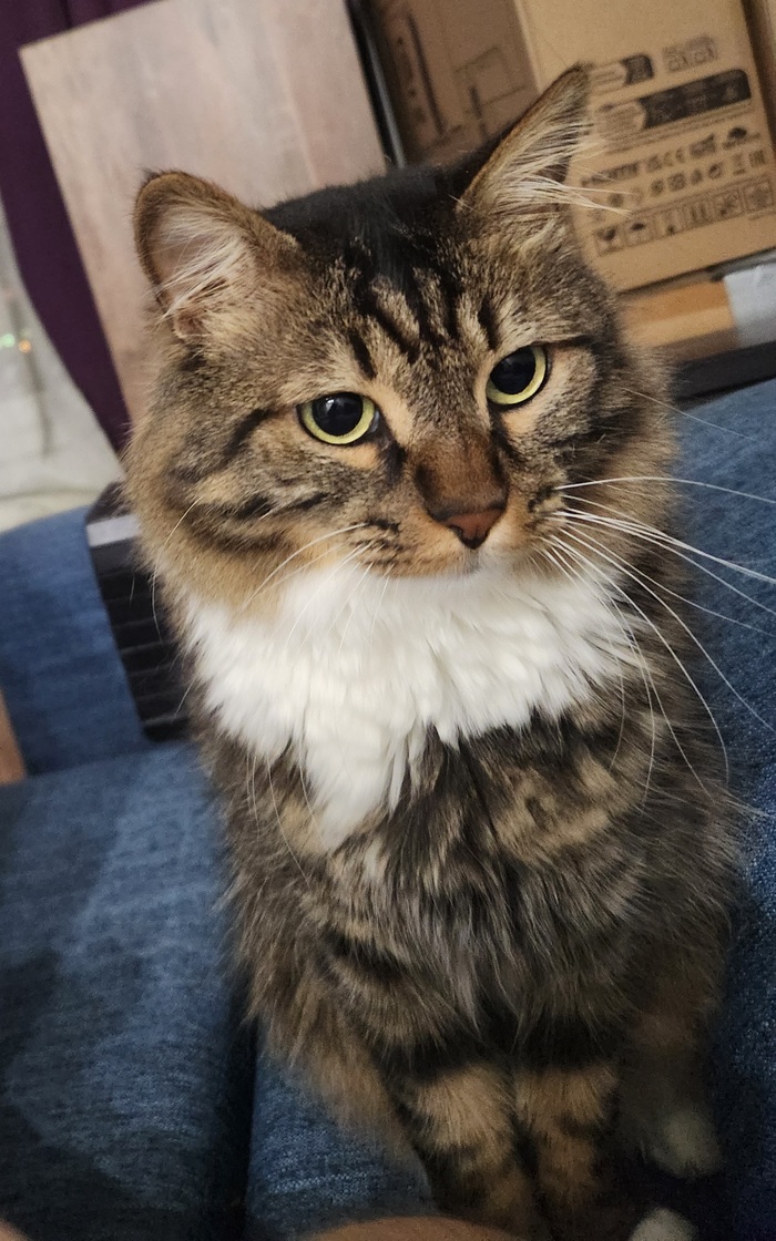 Ежедневный Рислинг #136