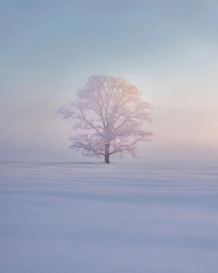 Япония, остров Хоккайдо. Фото: Kung-Fu Li <a href="https://pikabu.ru/story/gdeto_na_khokkaydo_13482962?u=https%3A%2F%2Ft.me%2Fvokrugsveta1861%2F19938&t=%D0%BE%D1%82%D1%81%D1%8E%D0%B4%D0%B0&h=8e92c541150e3dd7fa9ab91d2fb5c5c113aee707" title="https://t.me/vokrugsveta1861/19938" target="_blank" rel="nofollow noopener">отсюда</a>