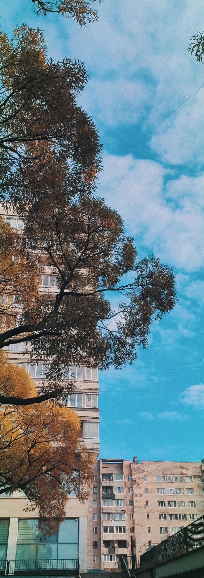 Кому нужен ломтик октябрьского неба?