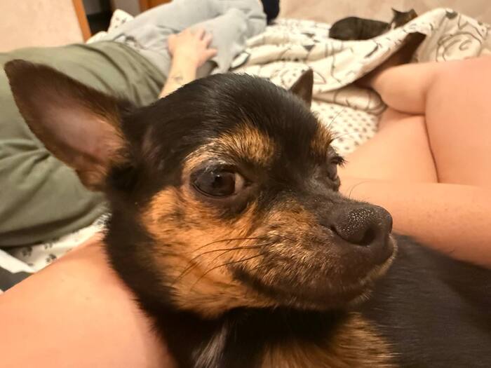 глядит довольным эротишным взглядом