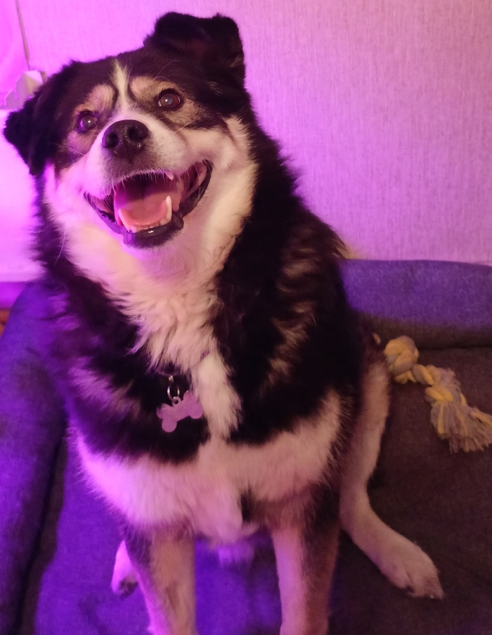 ����� �� ���� ���������� ������