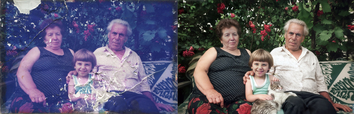 Реставрация кота