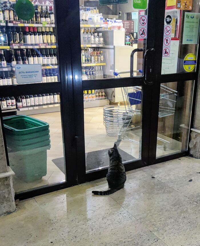 Винишко наливаете?