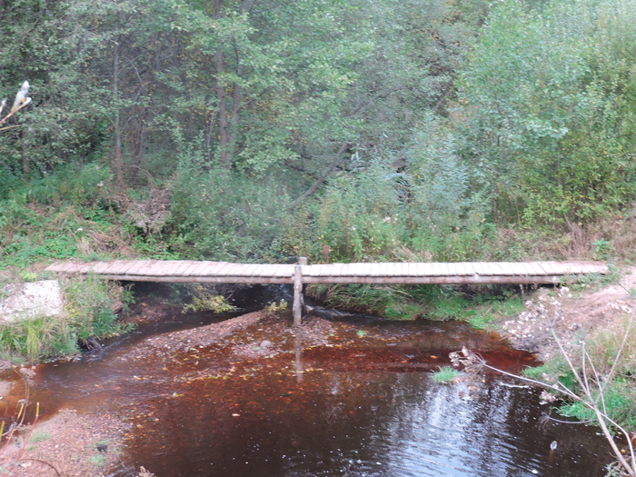 Что-то типа такого мостика, каких полно в лесу возле сёл.