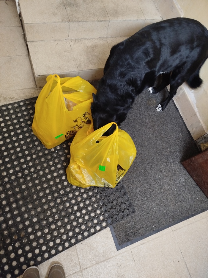 Проверяем покупки, все ли верно