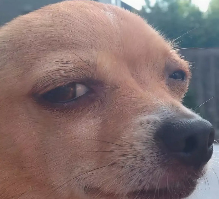 Стоит ли идти работать в Красное&Белое?