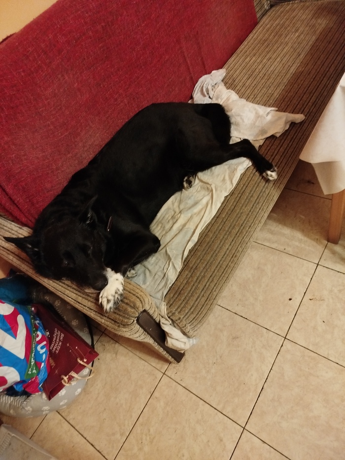 Бренность бытия