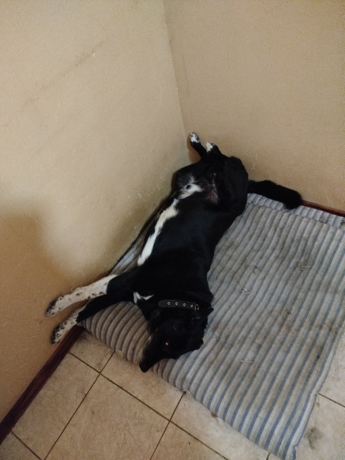 Покушали и отдыхать)