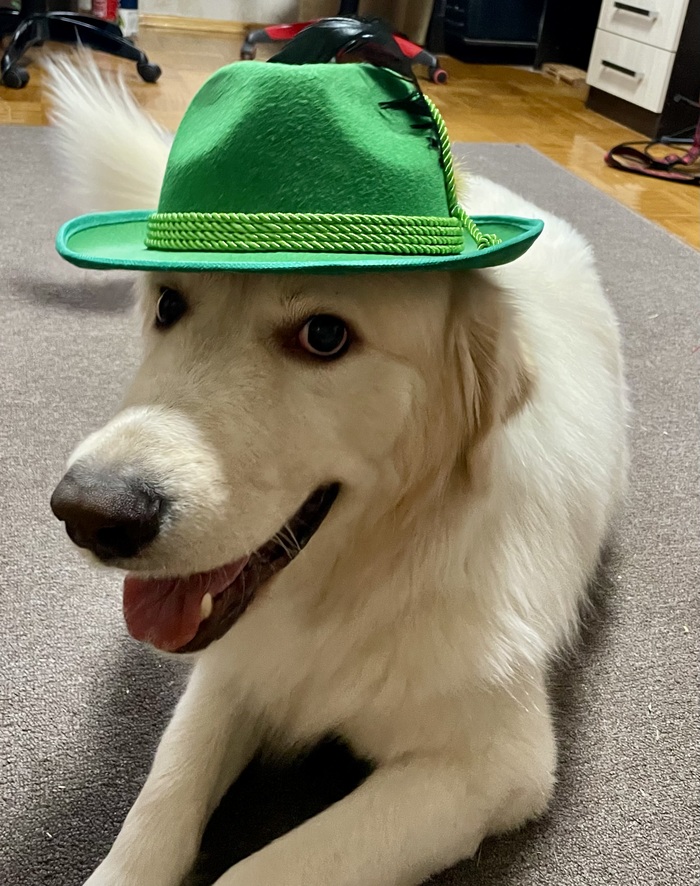 Когда рад шляпке