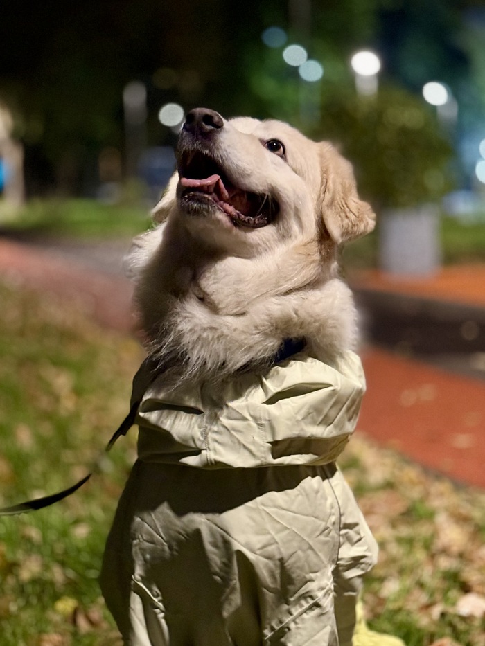 Когла рад новому костмчику