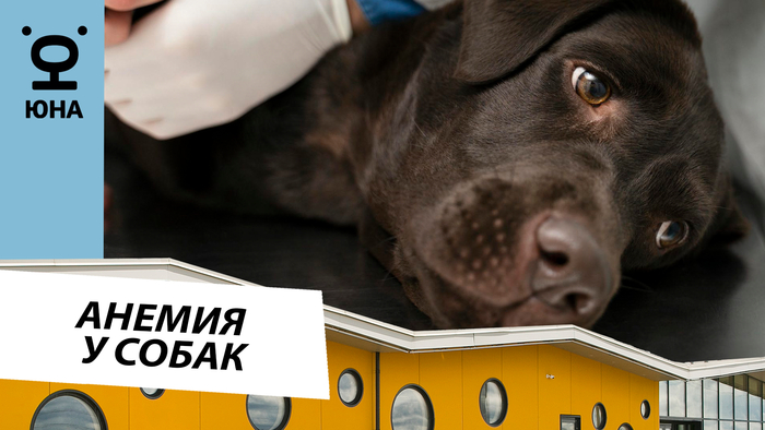 �������������� ������ � �����: ��� ���������� � ������� ������ �������