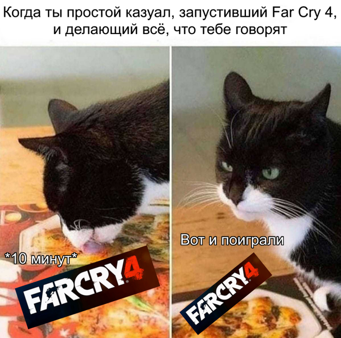 Досрочная концовка