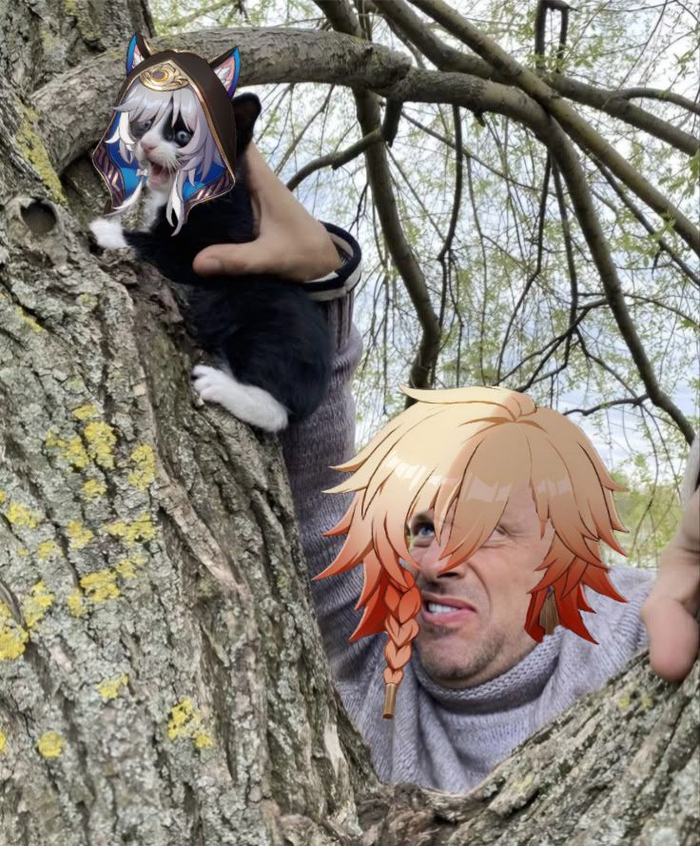 А ну слазь оттуда!