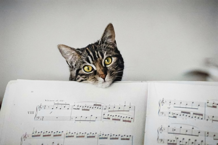 Фотограф: Эдуард Буба