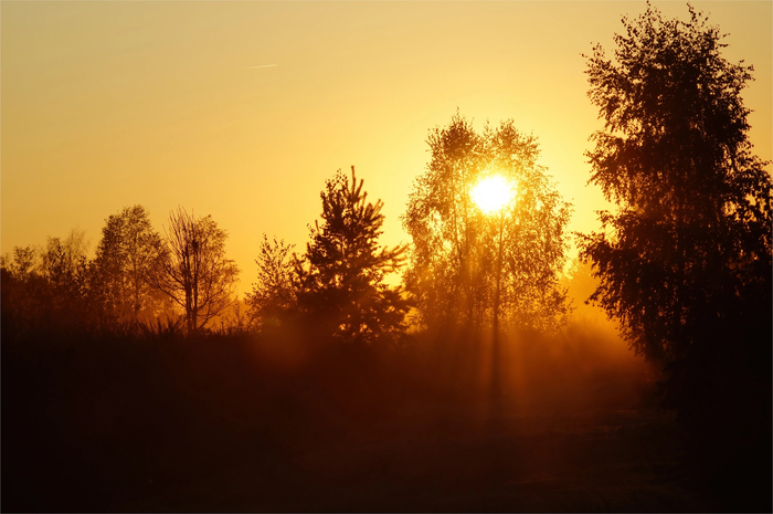 Ответ на пост «Мой лучший кадр в 2024 году»