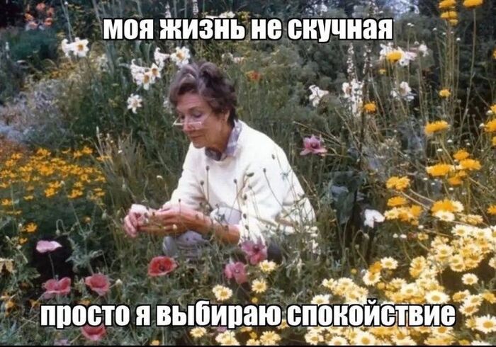 Прив пикабу хзз