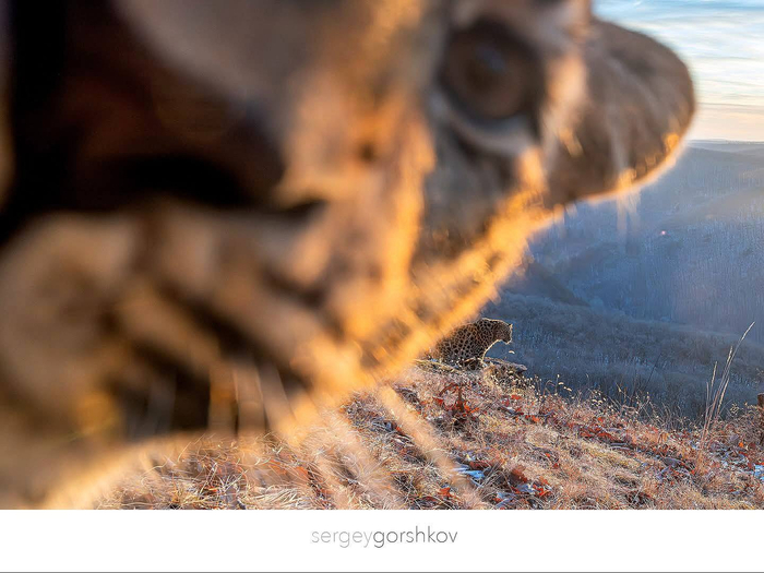 «Камеру вырубай! Тут съёмка запрещена!»