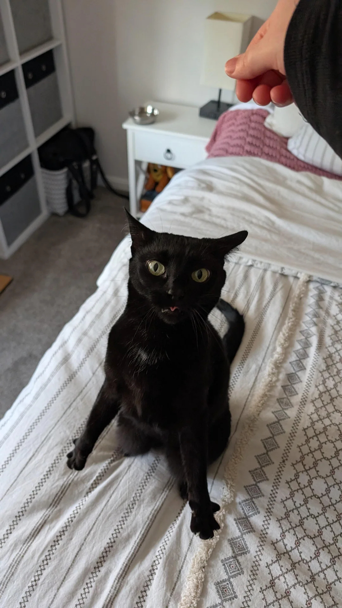 Переклинило