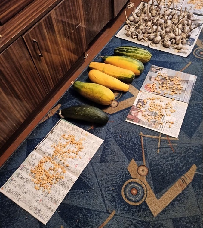 Для консервации больше всего подходят овощи, снятые с кустов сравнительно недавно