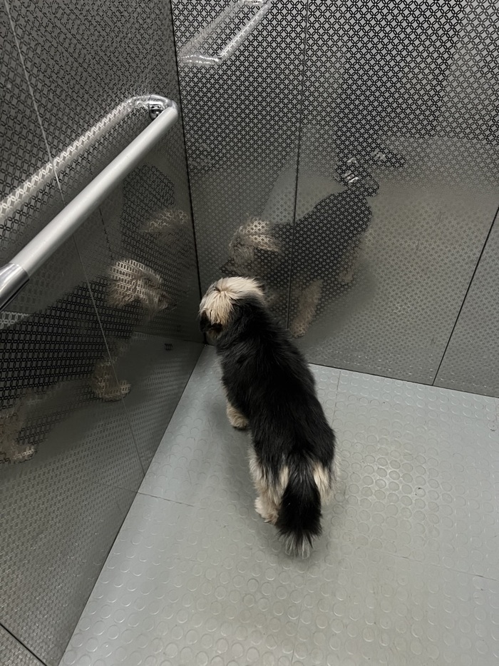 В последнее время стал резко стареть, ходит ночами по квартире, не узнает, писается дома.