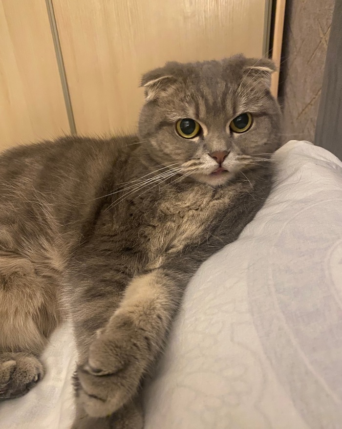 Можно не тыгыдыкать по ночам?