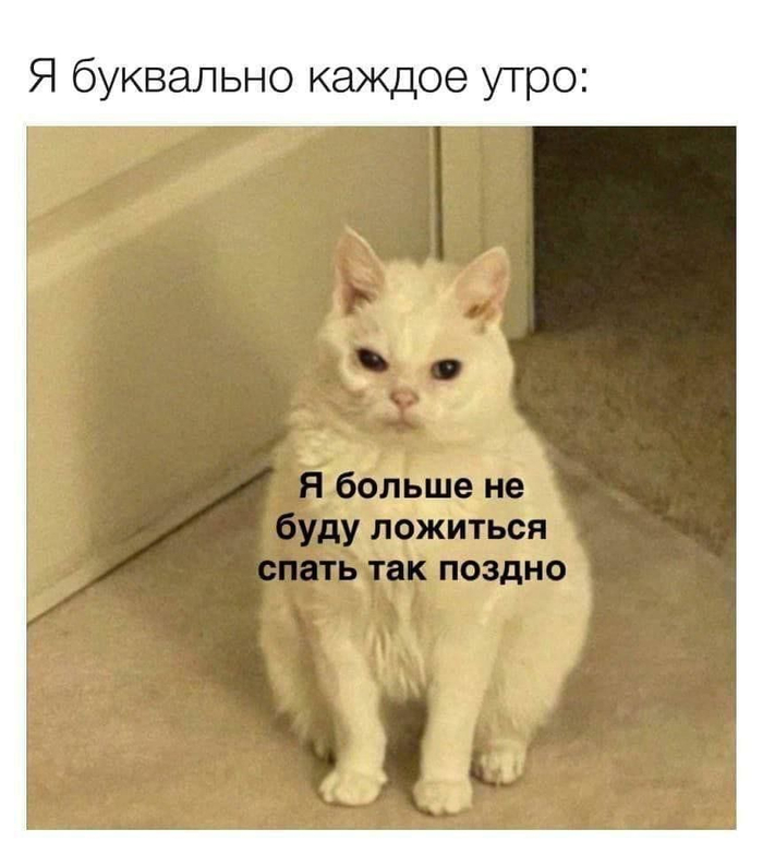 5 мифов о сне, в которые мы все еще верим