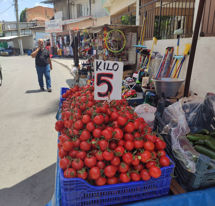Это середина июня 22 года в закоулках Измира.