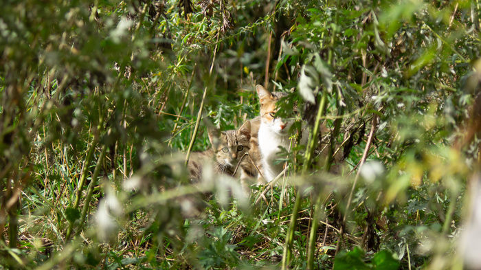 Ответ на пост «Мой лучший кадр в 2024 году»