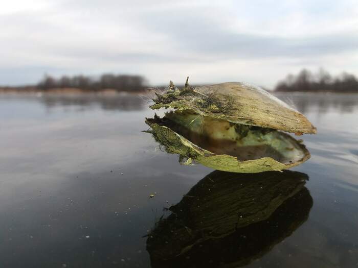 Ответ на пост «Мой лучший кадр в 2024 году»