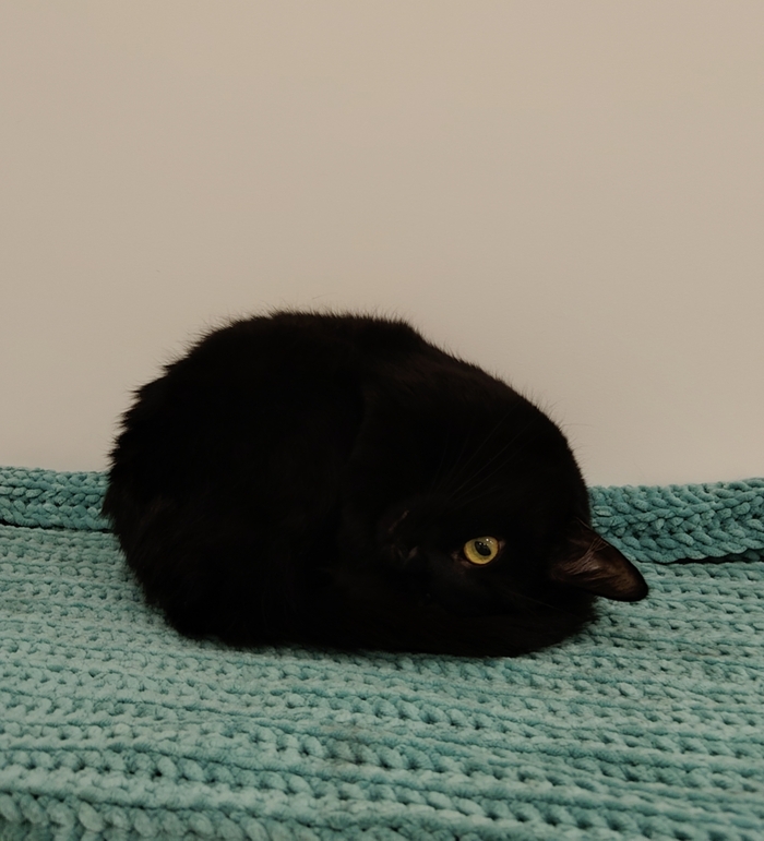 Вертикальный клубочек