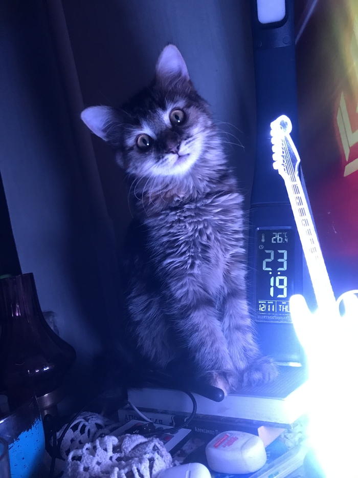 Ответ на пост «Я пикабушник»