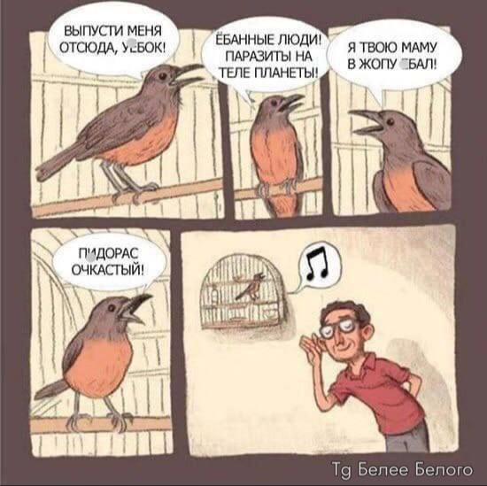 <!--noindex--><a href="https://pikabu.ru/story/shepot_robkoe_dyikhanie_treli_solovya_13490777?u=https%3A%2F%2Ft.me%2Fbeleebelogo%2F18019&t=https%3A%2F%2Ft.me%2Fbeleebelogo%2F18019&h=244c9332a03c96a9b8da2bf87c1401fda30b354d" title="https://t.me/beleebelogo/18019" target="_blank" rel="nofollow noopener">https://t.me/beleebelogo/18019</a><!--/noindex-->