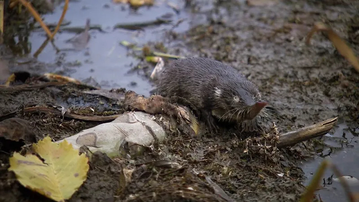 � ��� ���� �� ������ �� ��������? � ��� ����� ����� ����, � ��� �������!