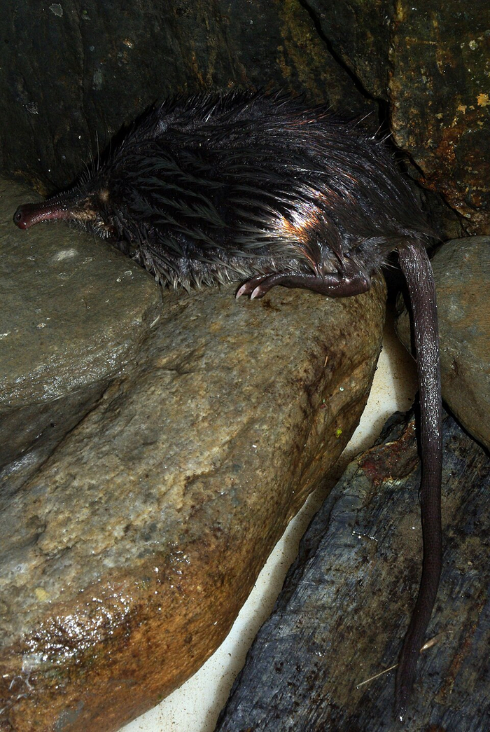 ��� �������� ������� �� ������ ���. �� ������ ���������������� �����!