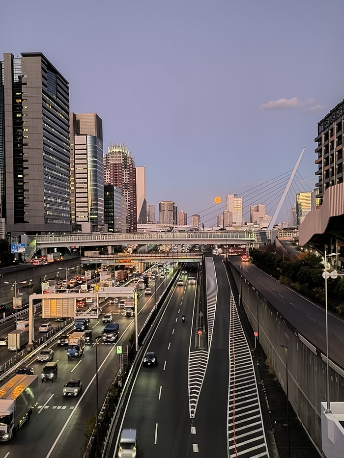 ������ ���� 2025 �