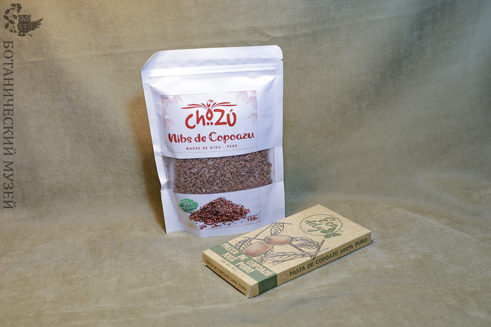 Нибсы и шоколад из купуасу. Из фондов Ботанического музея БИН РАН.