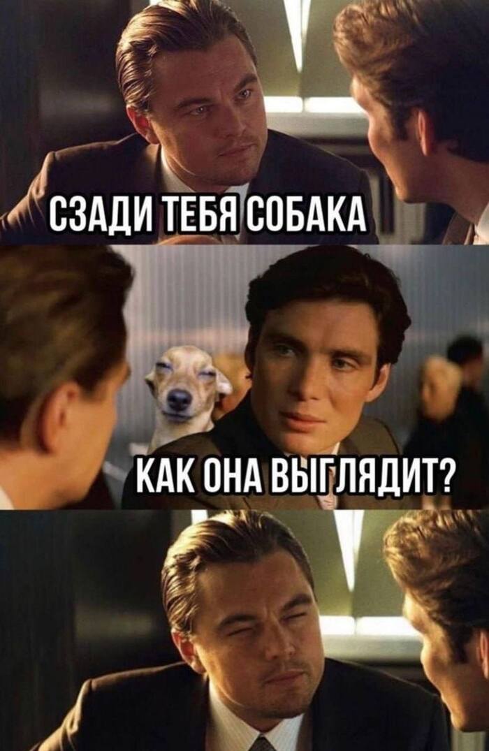 Вот так она выглядит