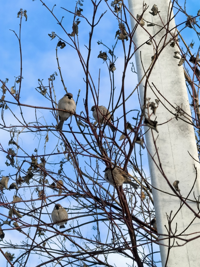 21 февраля 2025, а впереди весна и лето!
