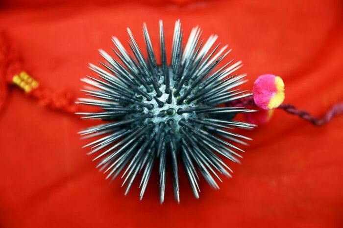 Ответ Bruzga в «А почему?»