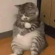 ����� ����� ������ ���� �����������